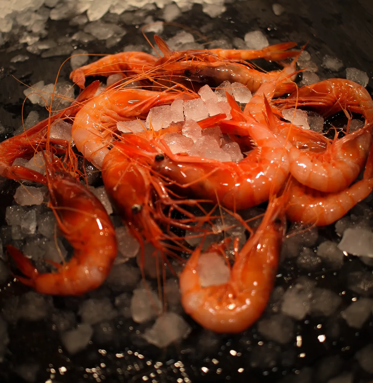 Gambas de Palamós